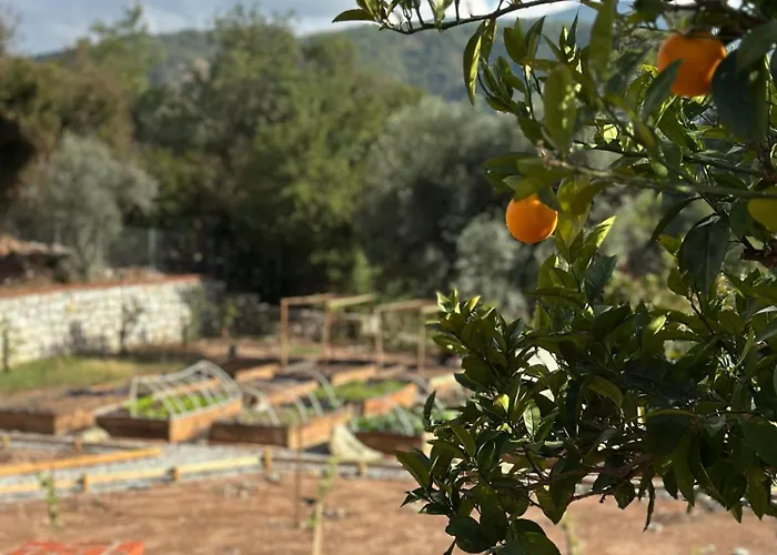 Marmaris Tiny House Olea Goekbel